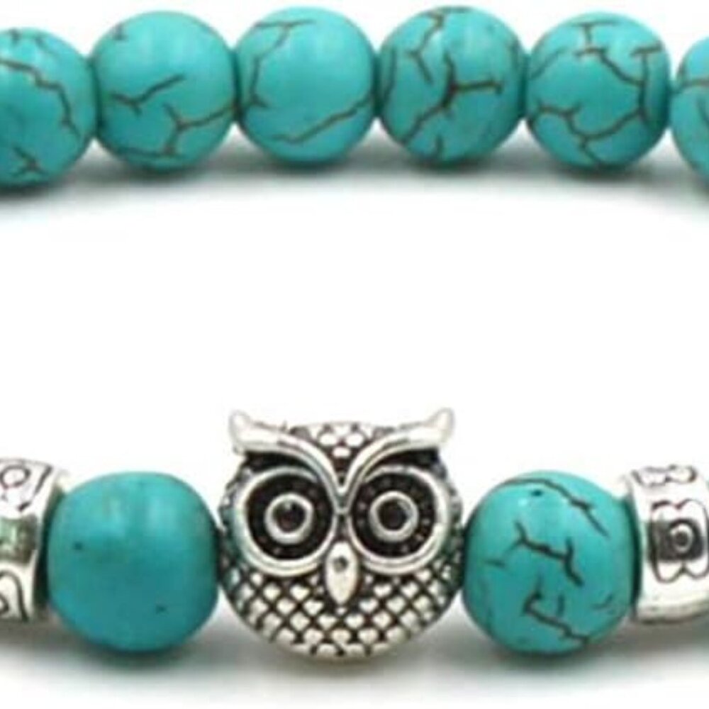 Teacher Gift,8mm Natural Turquoise Owl Braided Rope Bracelet For Women Men Teach